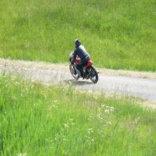 p1050249-standard.jpg