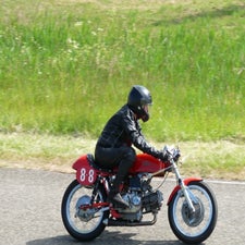 p1050253-standard.jpg