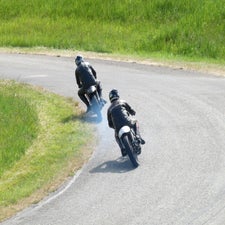 p1050256-standard.jpg