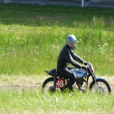 p1050263-standard.jpg