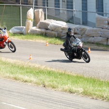 p1050306-standard.jpg