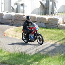 p1050312-standard.jpg