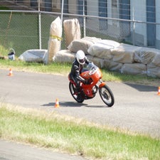 p1050329-standard.jpg
