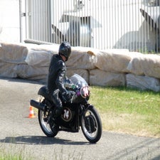p1050332-standard.jpg