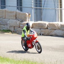 p1050335-standard.jpg