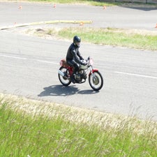p1050359-standard.jpg