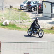 p1050380-standard.jpg