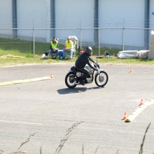 p1050404-standard.jpg