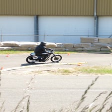 p1050415-standard.jpg