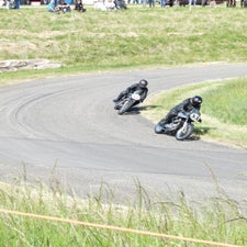 p1050433-standard.jpg