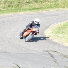 p1050451-standard.jpg