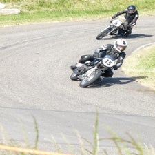 p1050453-standard.jpg