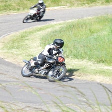p1050464-standard.jpg