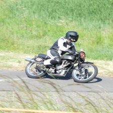 p1050465-standard.jpg