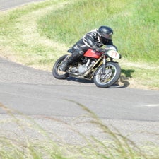 p1050472-standard.jpg
