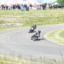 p1050484-standard.jpg