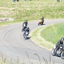 p1050497-standard.jpg