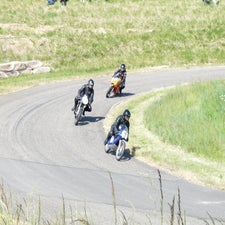 p1050498-standard.jpg