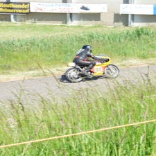 p1050499-standard.jpg