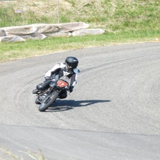 p1050506-standard.jpg