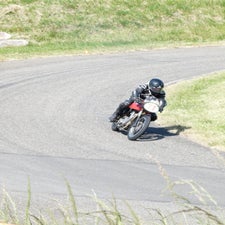 p1050508-standard.jpg