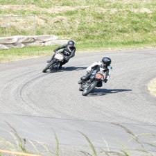 p1050521-standard.jpg