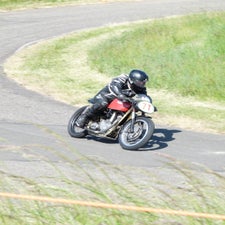 p1050525-standard.jpg
