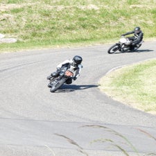 p1050538-standard.jpg