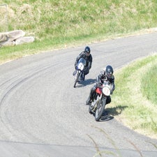 p1050544-standard.jpg