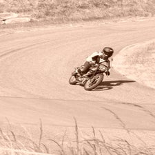 p1050553-standard.jpg