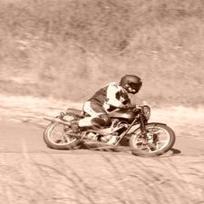 p1050555-standard.jpg