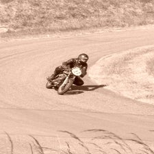 p1050559-standard.jpg