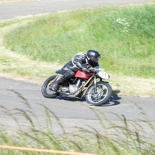 p1050563-standard.jpg