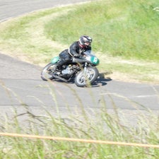 p1050571-standard.jpg