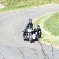 p1050581-standard.jpg