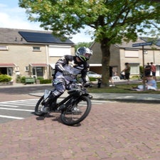 p1060931-standard.jpg