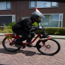 p1060989-standard.jpg