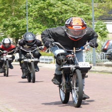 p1070016-standard.jpg