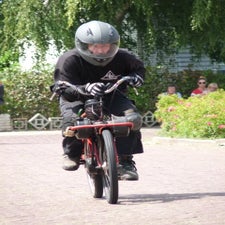 p1070053-standard.jpg