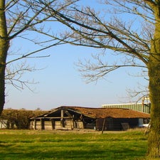 shed-edit-standard.jpg