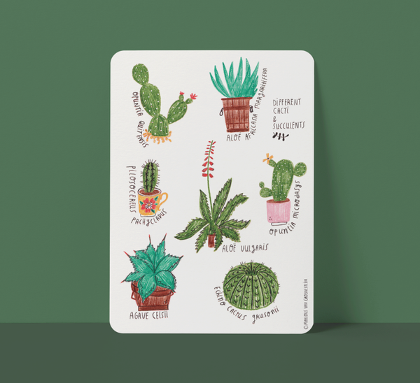 Kaart “Cactus” groot formaat