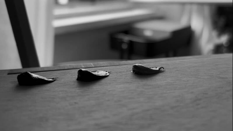 img_7144-standard.jpg