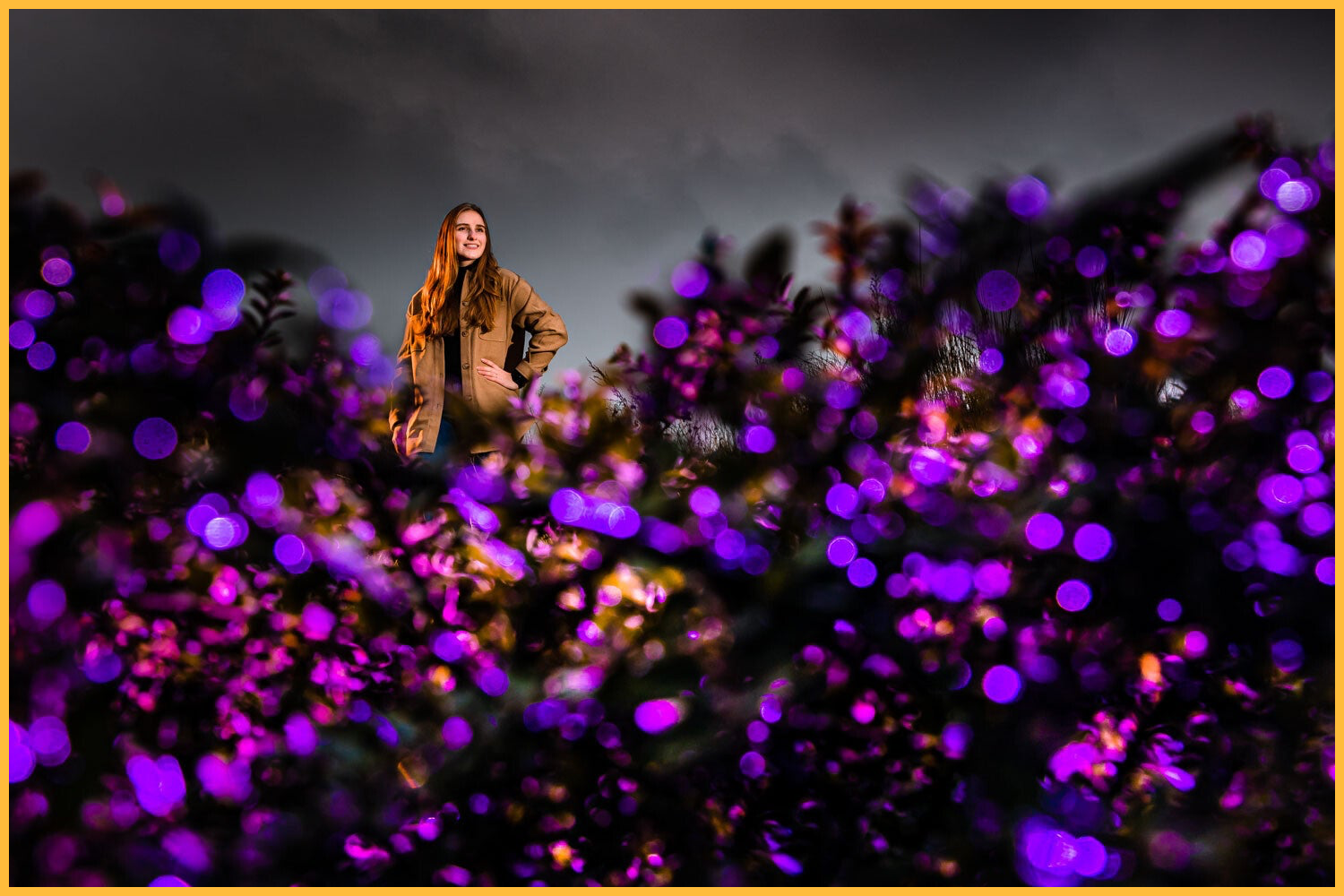 Online Course // The Art of Light 100+ Video Lessons + Creative Tutorials Creative Off-Camera Flash + MagMod + Lightroom Off-Camera Flash // Workshop MagMod + Next-Level Lighting // Arno de Bruijn