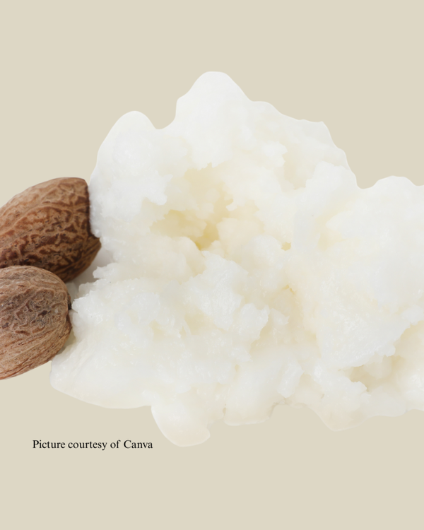 Infused Refined Shea Butter - 16 oz