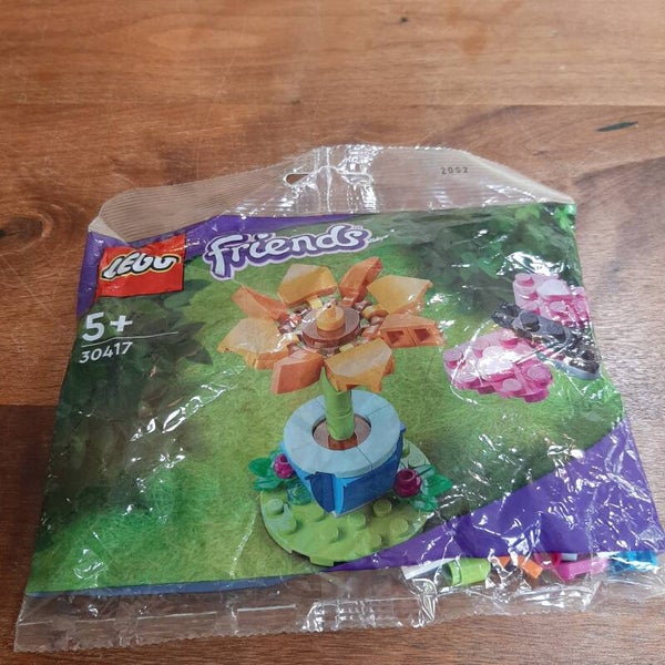 [30417]-1ib Garden Flower and Butterfly polybag