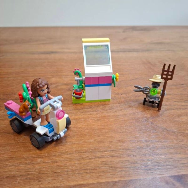 [41425]-1i Olivia's Flower Garden