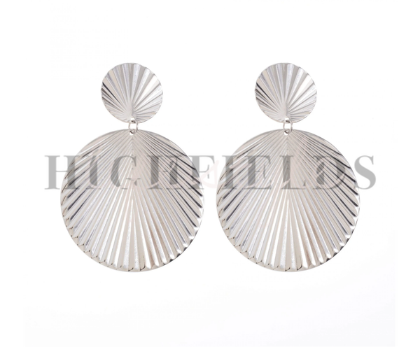 Oorbellen van roestvast staal diameter 40mm Zilver (154)