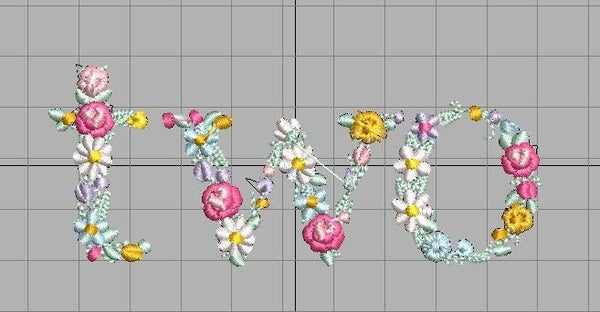 Verjaardagsshirt two