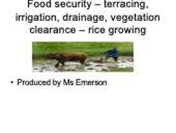 Lesson 10 - Year 9 Geography - Rice Growing in Bali