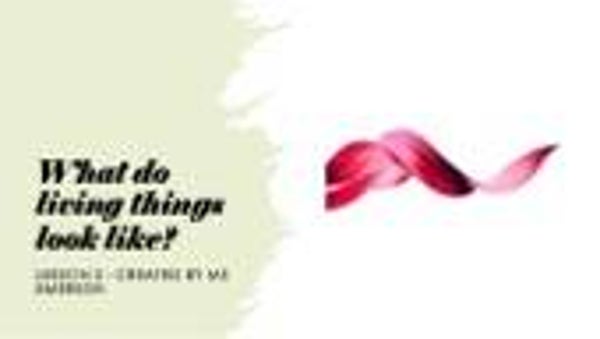 Art - Pre-primary - Year 2 - The Very Quiet Cricket